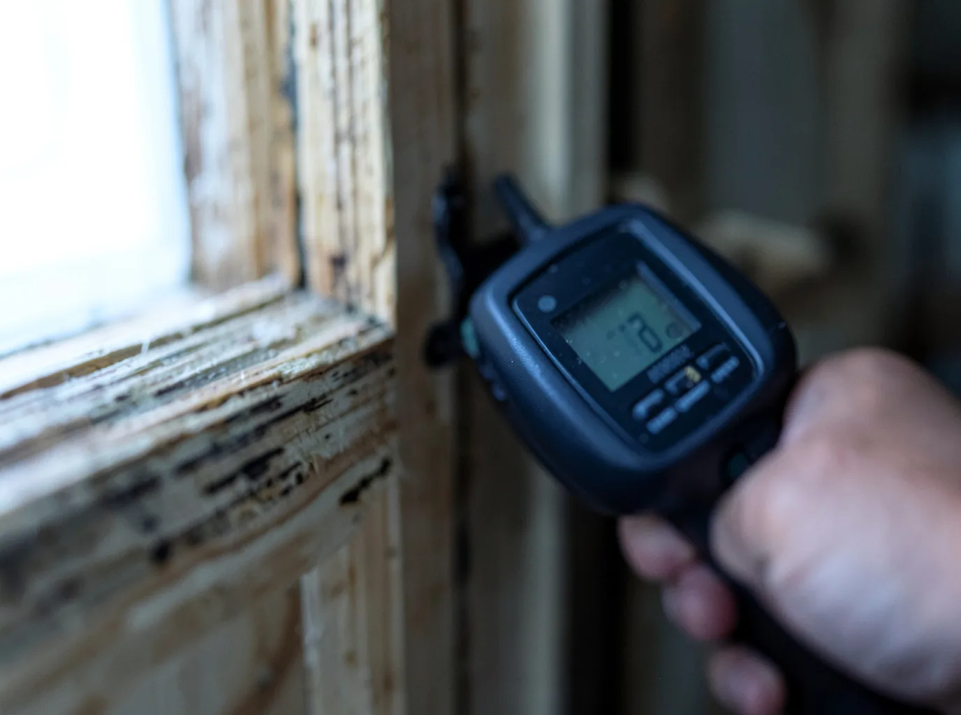 Moisture Inspection And Documentation in Champlin, MN